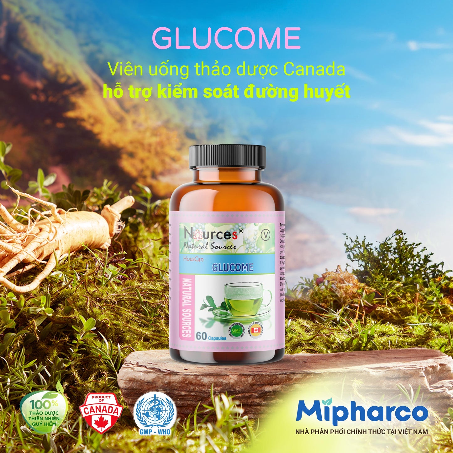 GlucoMe – Viên uống thảo dược Canada hỗ trợ kiểm soát đường huyết.