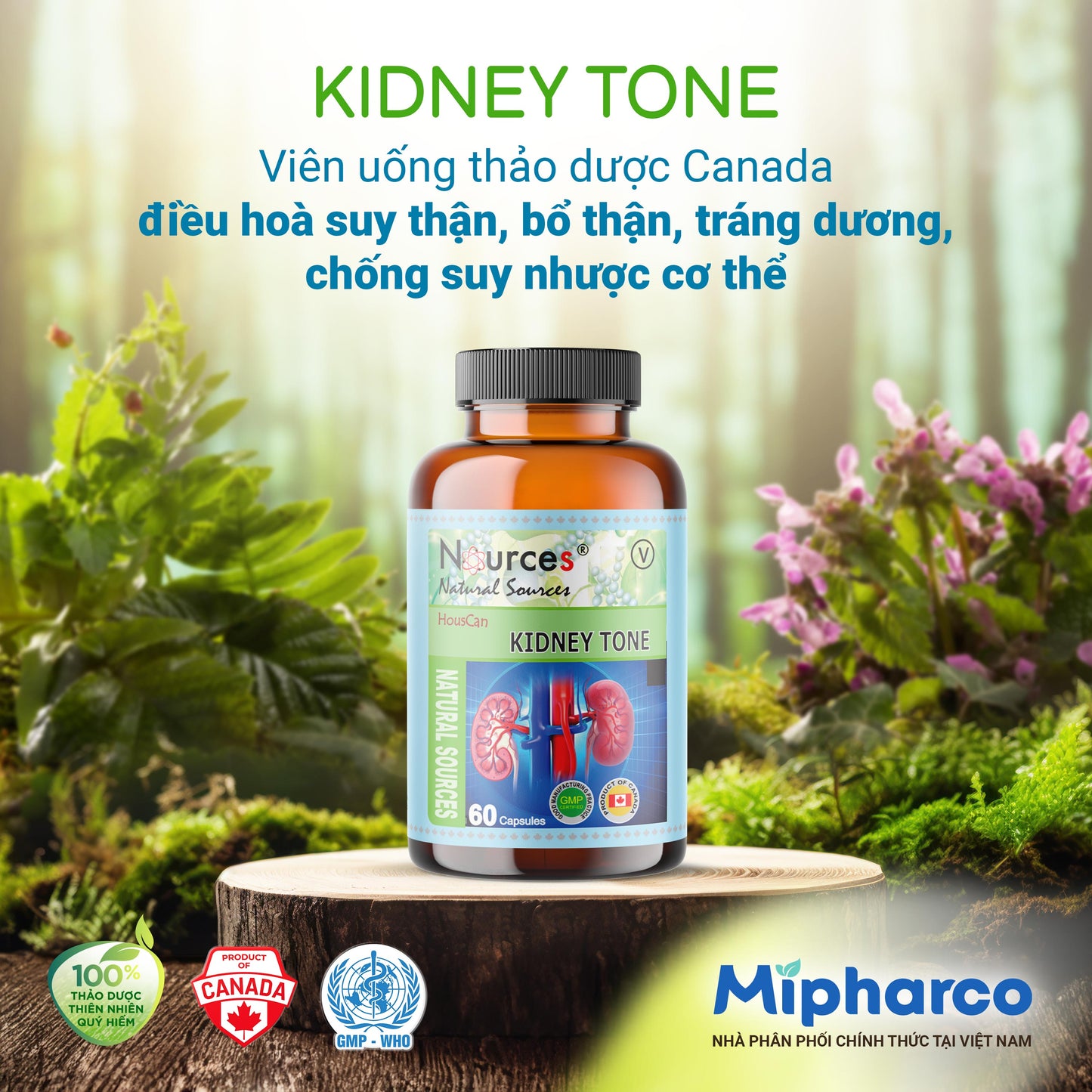 Kidney Tone – Viên uống thảo dược Canada điều hoà suy thận, bổ thận, tráng dương, chống suy nhược cơ thể.