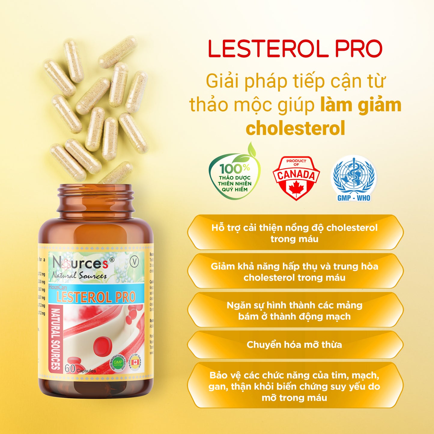 Lesterol Pro – Viên uống thảo dược Canada giảm Cholesterol, bảo vệ mạch máu.