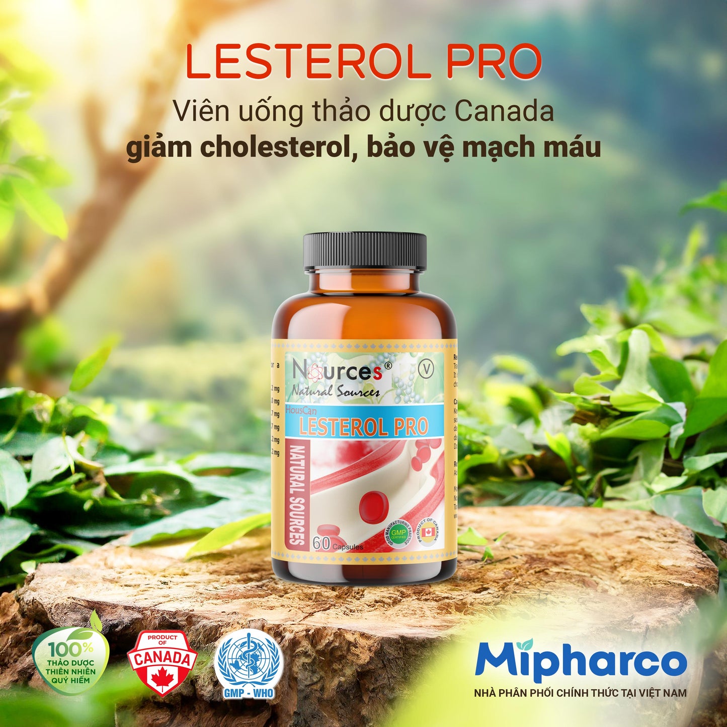 Lesterol Pro – Viên uống thảo dược Canada giảm Cholesterol, bảo vệ mạch máu.