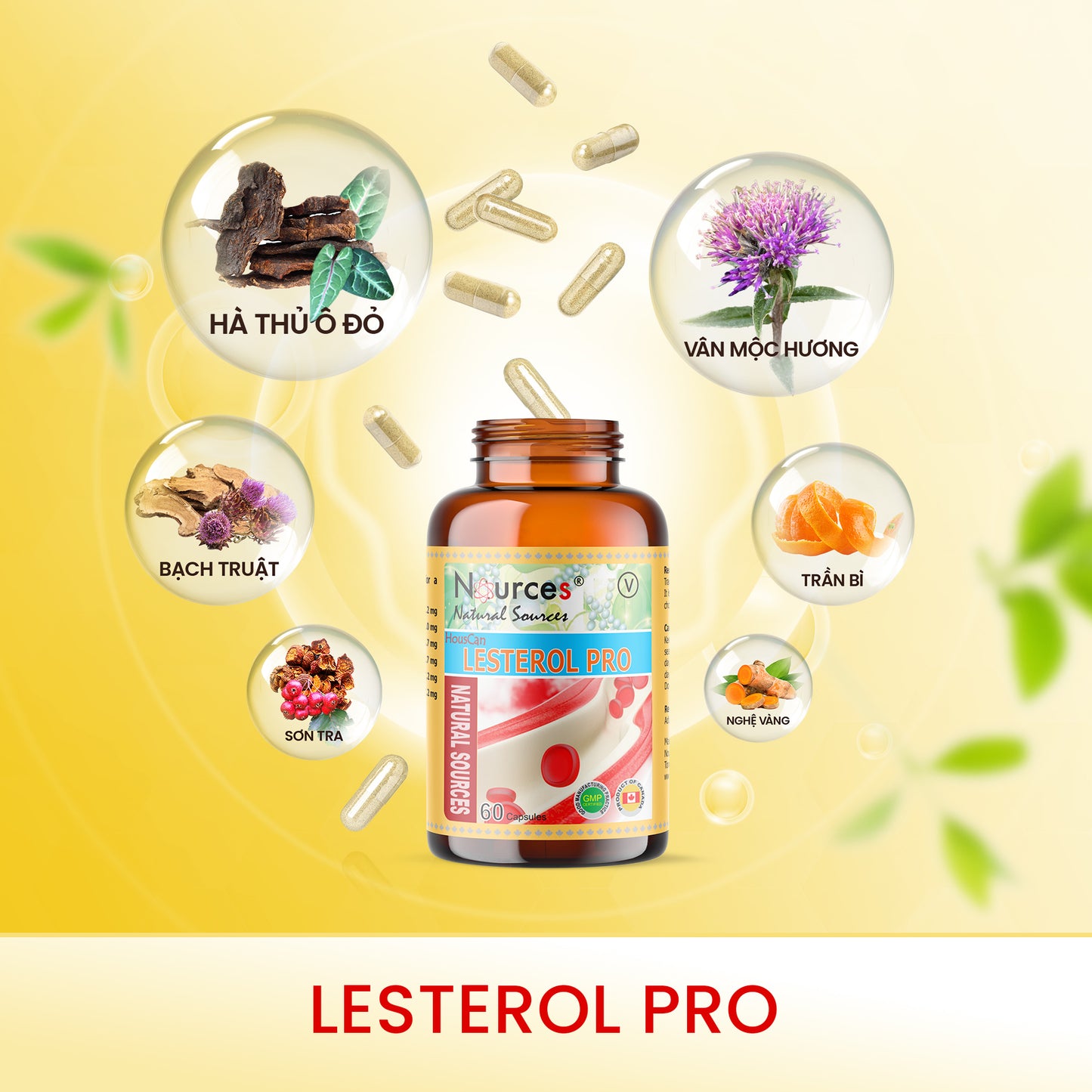 Lesterol Pro – Viên uống thảo dược Canada giảm Cholesterol, bảo vệ mạch máu.