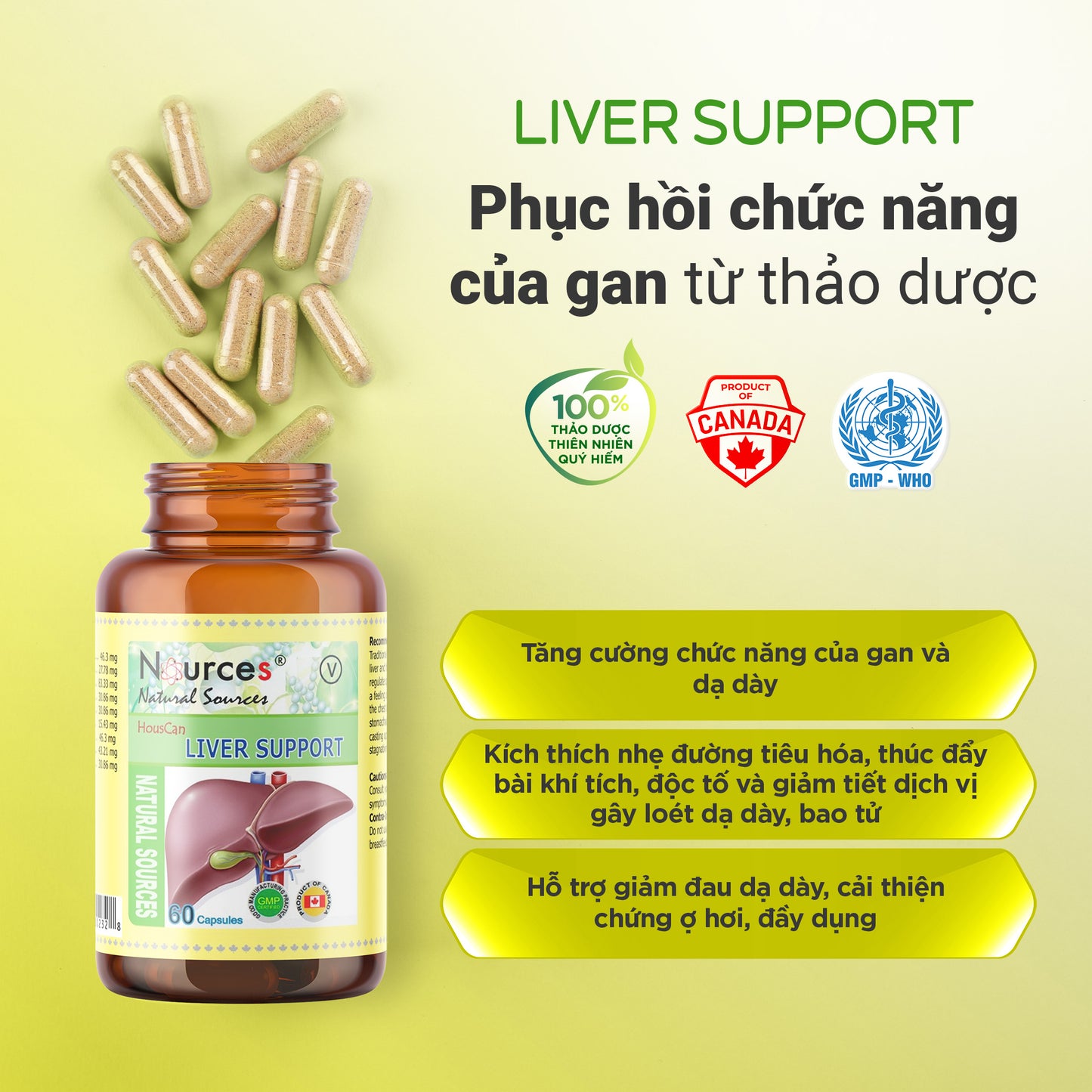 Liver Support – Viên uống thảo dược Canada cải thiện chức năng gan và đau dạ dày.