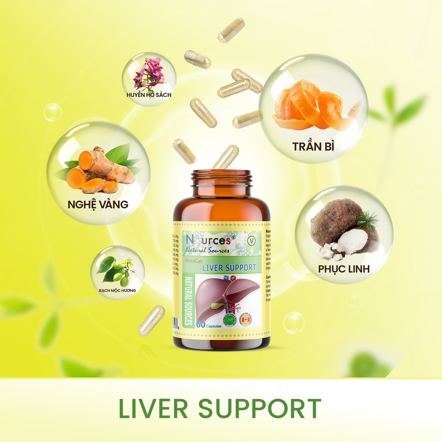 Liver Support – Viên uống thảo dược Canada cải thiện chức năng gan và đau dạ dày.