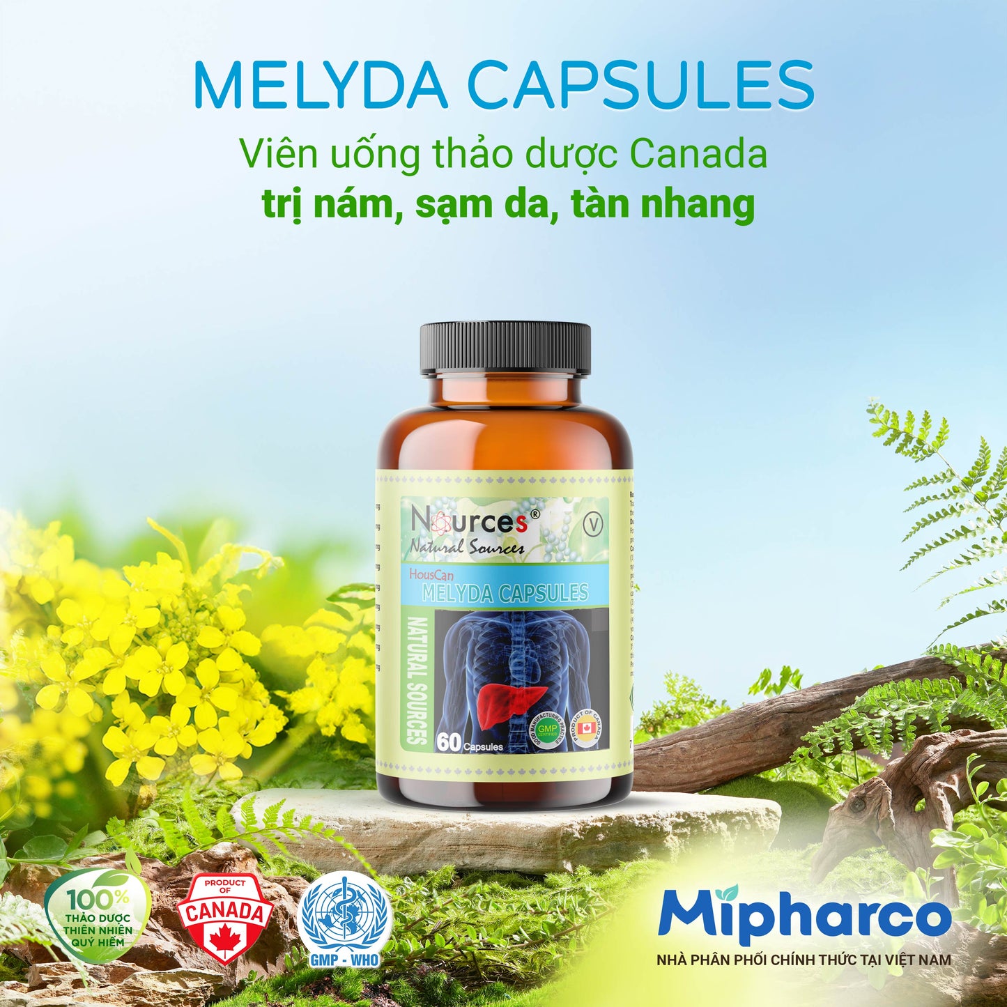 Melyda Capsules – Viên uống thảo dược Canada trị nám, sạm da, tàn nhang.