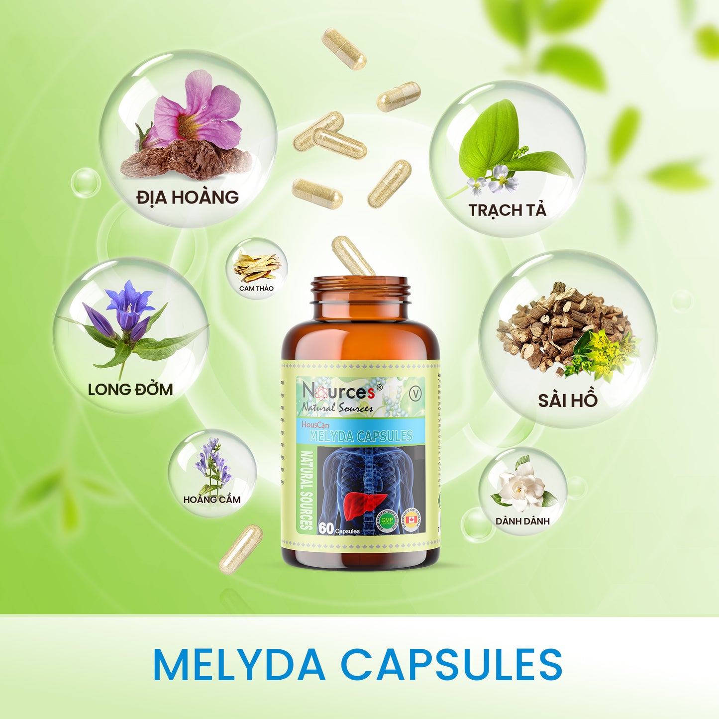 Melyda Capsules – Viên uống thảo dược Canada trị nám, sạm da, tàn nhang.