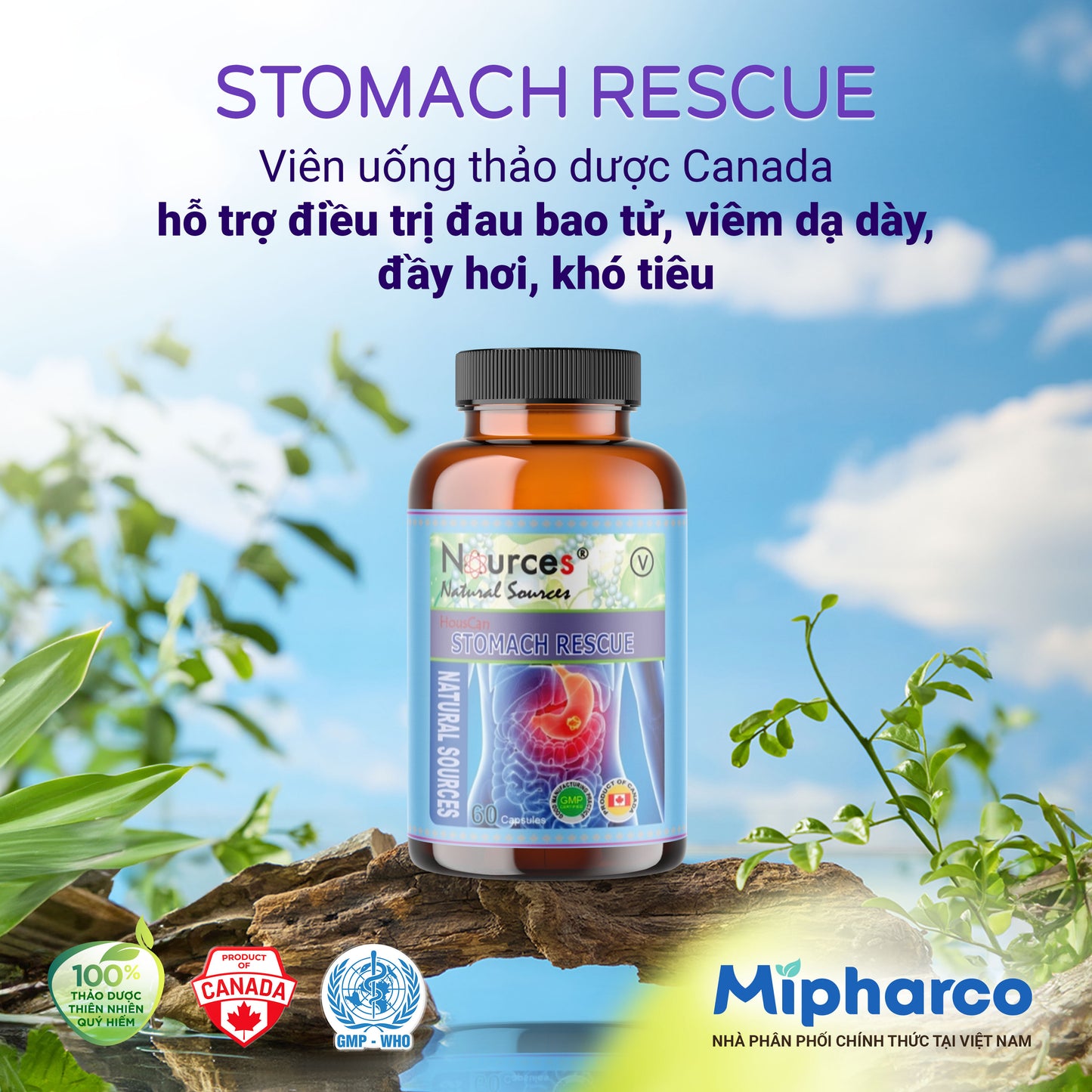 Stomach Rescue – Viên uống thảo dược Canada hỗ trợ điều trị đau bao tử, viêm dạ dày, đầy hơi, khó tiêu.