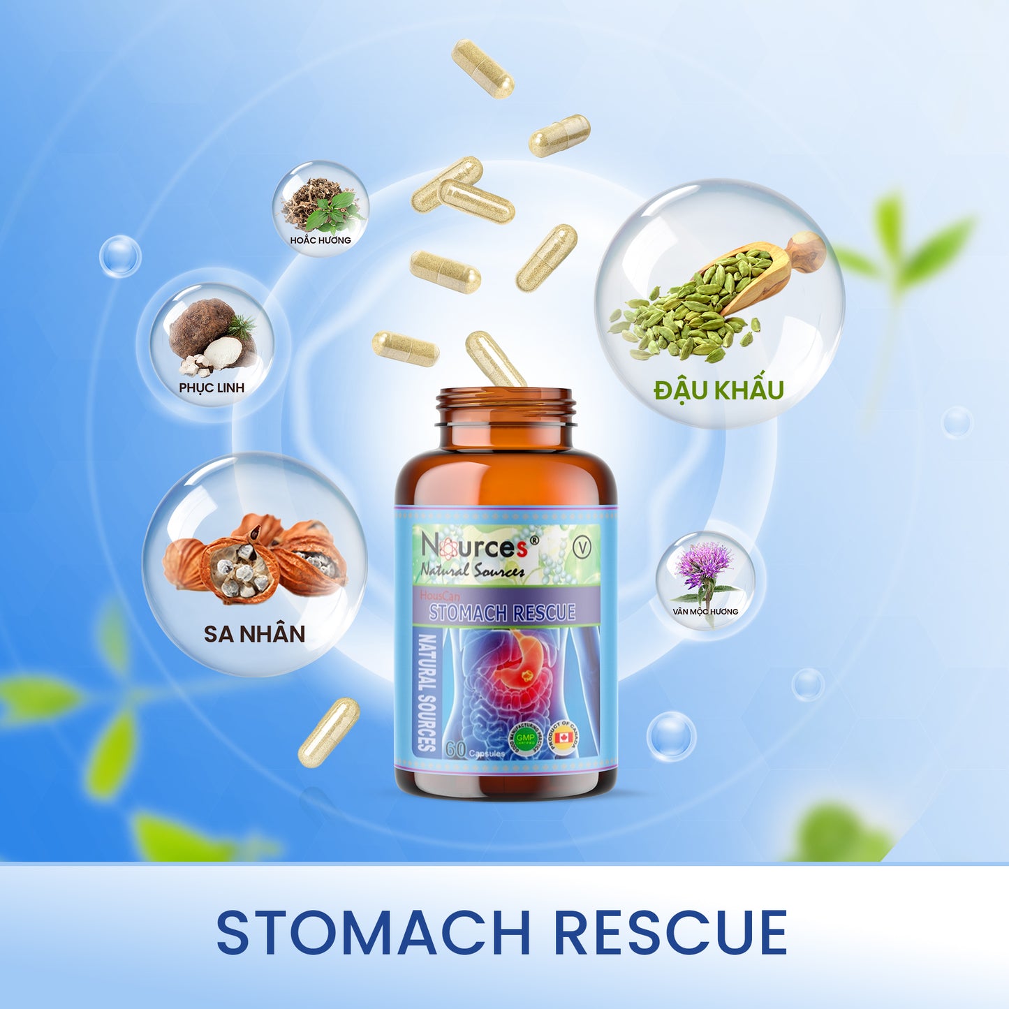 Stomach Rescue – Viên uống thảo dược Canada hỗ trợ điều trị đau bao tử, viêm dạ dày, đầy hơi, khó tiêu.