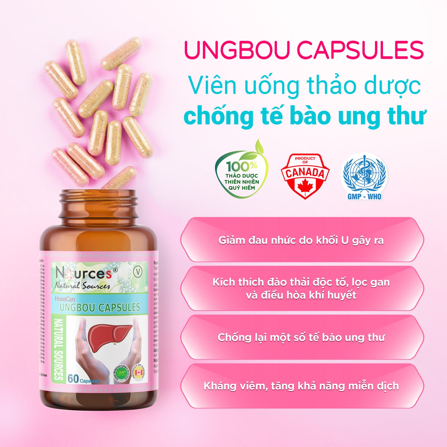 UngBou Capsules – Viên uống thảo dược Canada giảm đau và phòng ngừa ung bướu