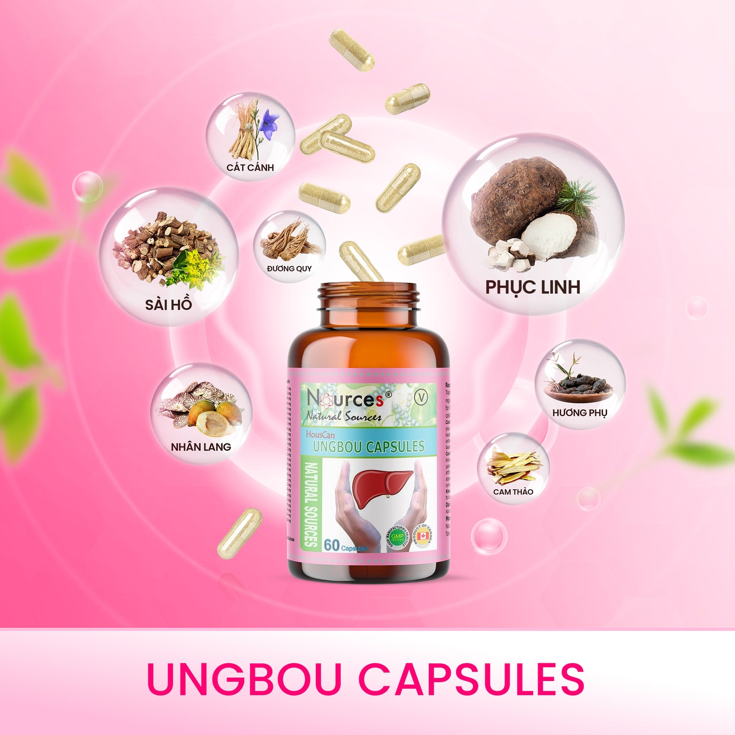 UngBou Capsules – Viên uống thảo dược Canada giảm đau và phòng ngừa ung bướu